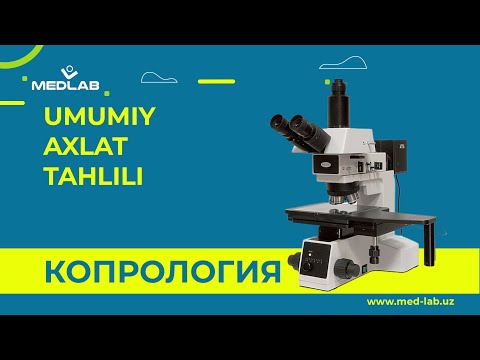 Video: Umumiy Qamish