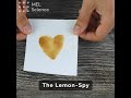 The Lemon-Spy