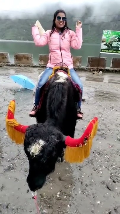 Ek Zindagi Ek Zindagi 100 Khwahishan viral hills himachal sikkim ek-zindagi-ek-zindagi-100-khwahishan-viral-hills-himachal-sikkim