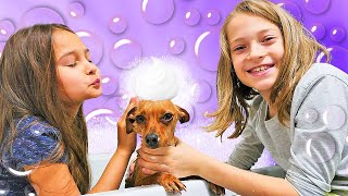 ¿Adivina qué? ¡El perro Pancho ayuda a los niños a resolver dudas! Videos para niños en español.