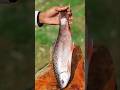 Masala Fish Curry || Bihari Fish Curry || Spicy Rui Fish Curry #cooking #shorts #food