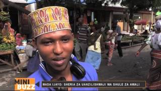 Sheria za uanzilishwaji wa shule za awali