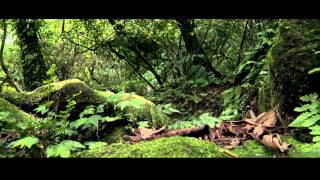 金山高中國際遊學影片720P2014 06 04
