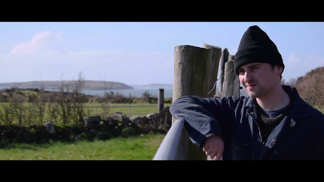 Les SalAmandas - Now Is The Time (Official Video)