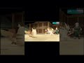 Pikachu vs Raichu Gym battle