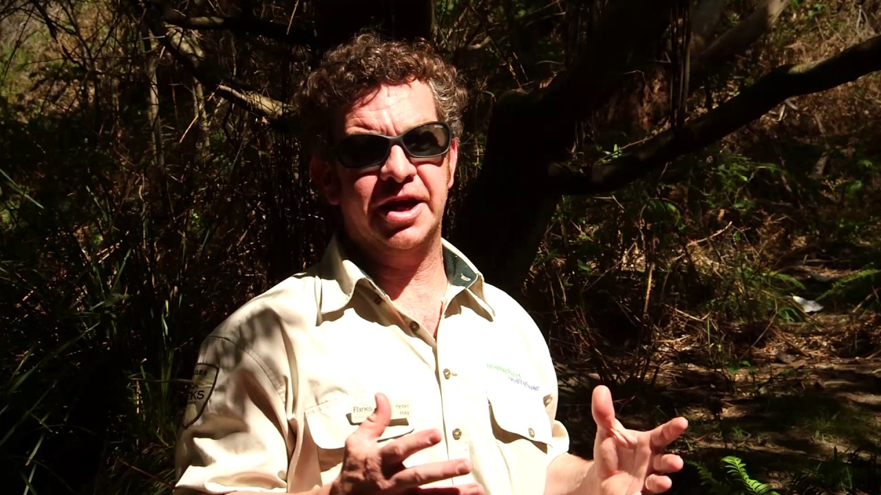 ParksVic Coastal tender