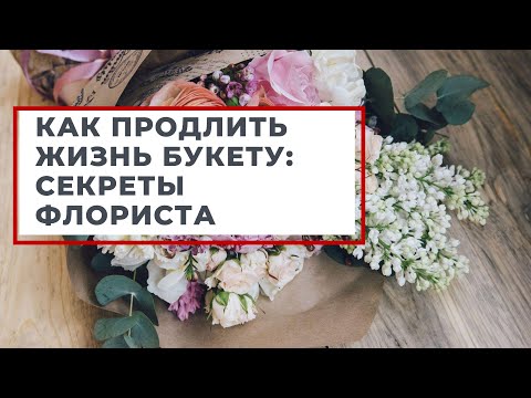 Как Продлить Жизнь Срезанным Цветам В Вазе