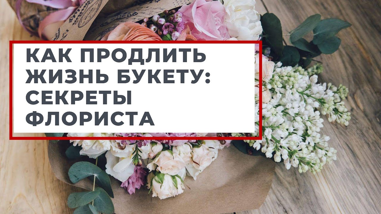 Как продлить свою жизнь. Как продлить жизнь букету цветов. Как продлить жизнь срезанным цветам.