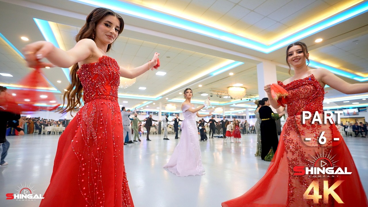 Maher & Asifa - Part 6 - Tarek Shexani - by #Shingal_Company