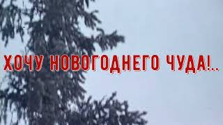 Хочу Новогоднего Чуда  |  Просто Анекдот