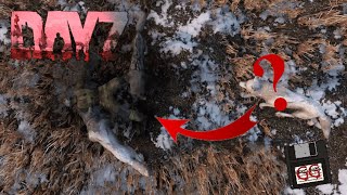 Wolves eat infected in DayZ?
