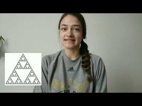 Basic Introduction to Fractals and Fractal Dimension