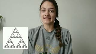 Basic Introduction to Fractals and Fractal Dimension