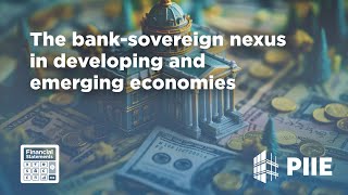 The bank-sovereign nexus in developing and emerging economies