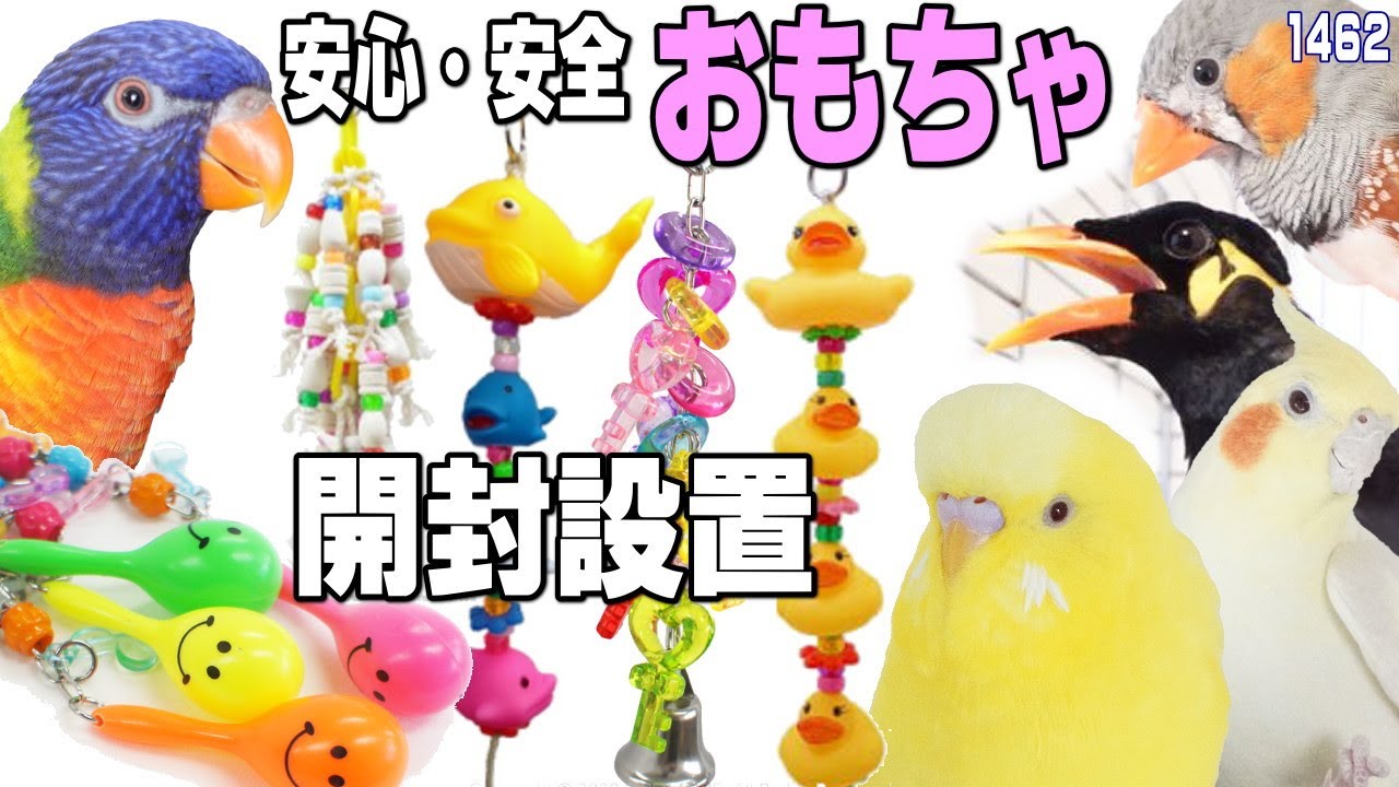 鳥 インコの可愛すぎるおもちゃ 開封設置動画 金属は全てステンレスの安心安全 アロハヘブン 1462 Youtube