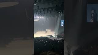 IMG 2484