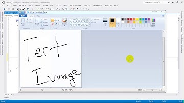 How to DrawImage Bitmap on Form Paint in C# NET 2012