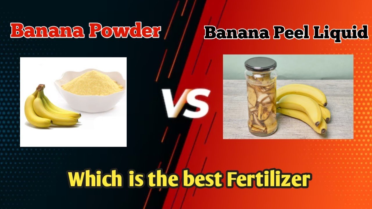 how make banana peel powder and different Powder vs liquid khad 