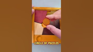 How can we cleverly fit this circle into the puzzle? #puzzle #iq #iqtest #logic #shorts