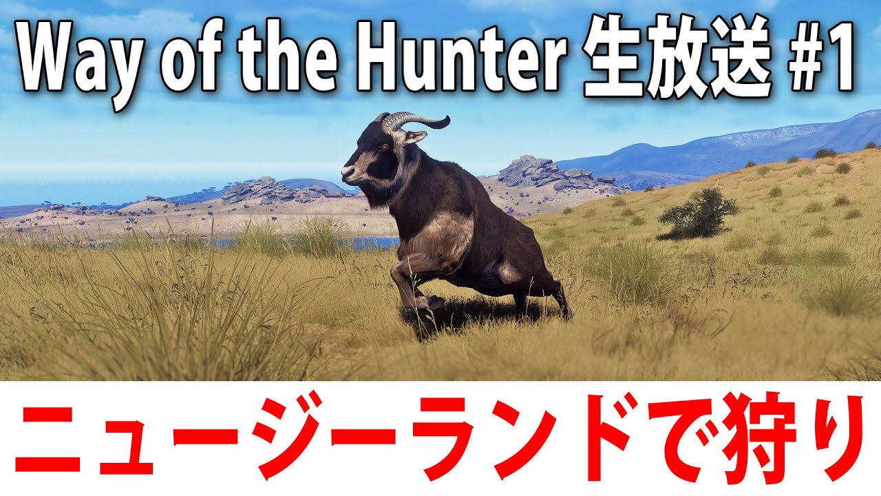 ニュージーランドでひたすら狩りをするライブ配信【 Way of the Hunter