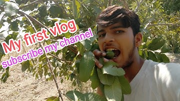 My first vlog please subscribe my channel #firstvlog #myfirstvlogviral #viral #video