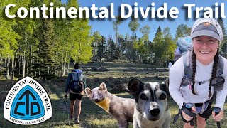 CDT Day 35-36: COWS, BIRDS, WEASELS & DEER EVERYWHERE
