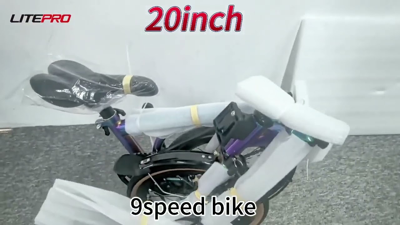 Litepro trifold bike purchase experience : pack well and with 2years guarranty !accept DIY !