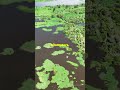 🌊 The Amazon River Mystery: Why No Bridges Exist!