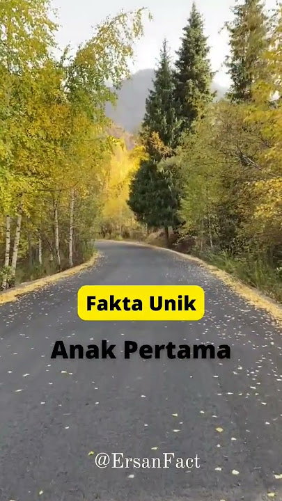 Fakta Unik anak Pertama 'Tanggung Jawab'