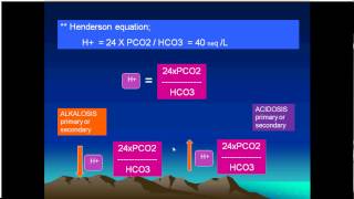 Arterial blood gases interpretation CO2 -6/29(English)