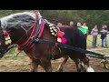 Strong horses🐴 Švedlár 2018🐴