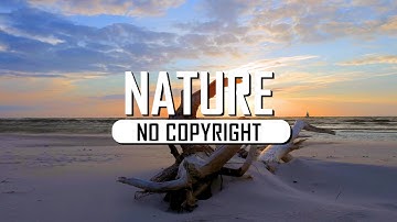 Beach - Ocean Sunset |  Free Stock Footage HD Videos 4K (Nature No Copyright Videos)
