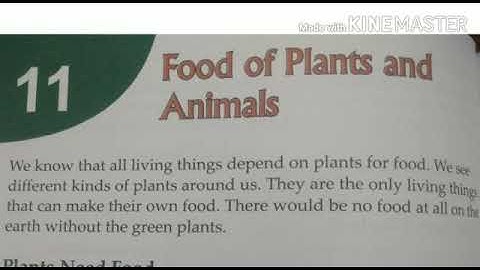 Evs_ lesson 11_ food of plants and animals