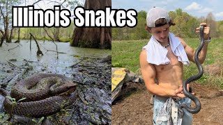 Illinois Cottonmouths, Watersnakes and Kingsnakes! 100 Species EP.7
