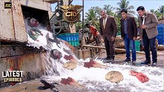 आइस मशीन से निकल रहे थे इंसान के अवशेष, CID के उड़े होश! | Latest Ep 2026 | CID |
