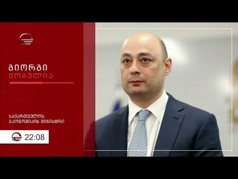 ეკონომიკის ახალი მინისტრი - დიდი ბიზნესიდან ქართულ პოლიტიკაში