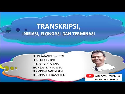 Video: Ketangguhan Dan Penerapan Faktor Transkripsi Dan Alat Analisis Jalur Pada Data RNA-seq Sel Tunggal