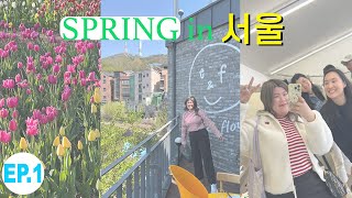 [KOREA EP.1] ฤดูใบไม้ผลิในโซล🌸 พิกัดดูดอกไม้สวยปัง🌷 อัพเดทร้านกินช้อป~ | jaysbabyfood