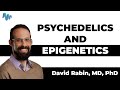 David Rabin, MD, Ph.D. - PSYCHEDELICS AND EPIGENETICS