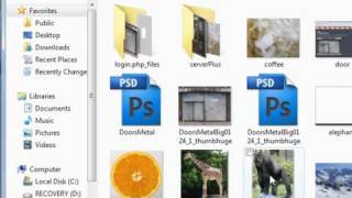 Celebrity Flash CS5 in the Family 11: Student Project Net Worth