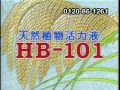 天然植物活力液HB－１０１