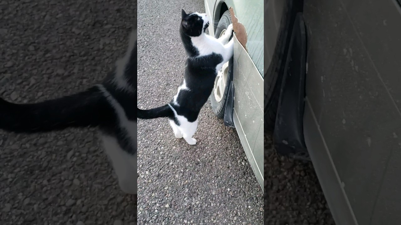 Winter ❄ has been canceled 🚫