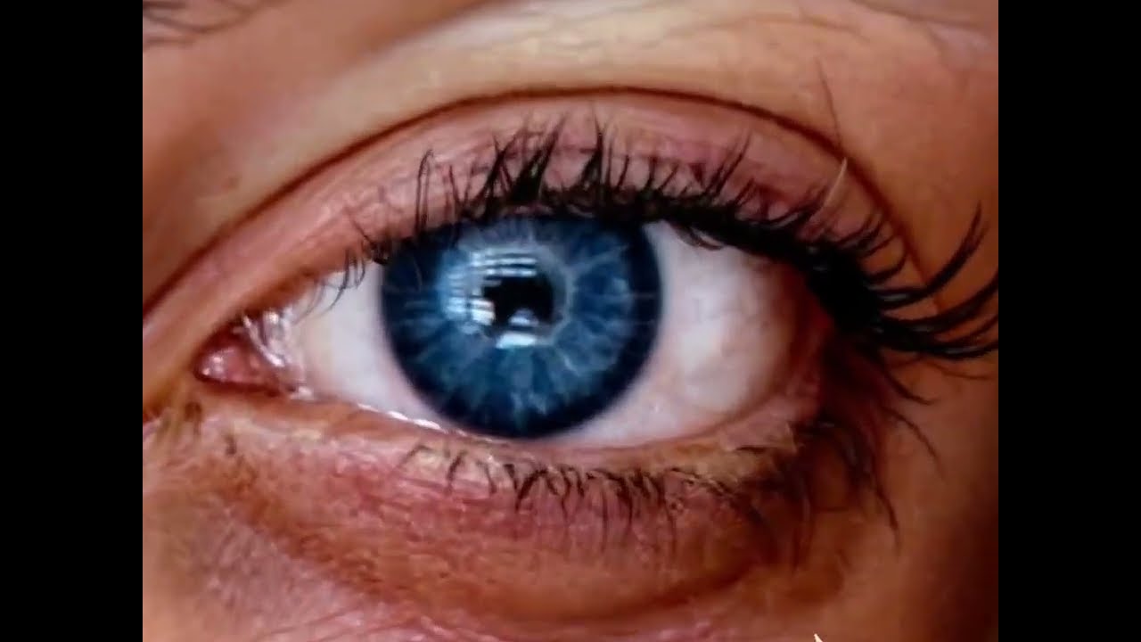 "Vision．HKUST" by Yihan LIU | Runner-up of AMC Student Hackathon 2025 | HKUST