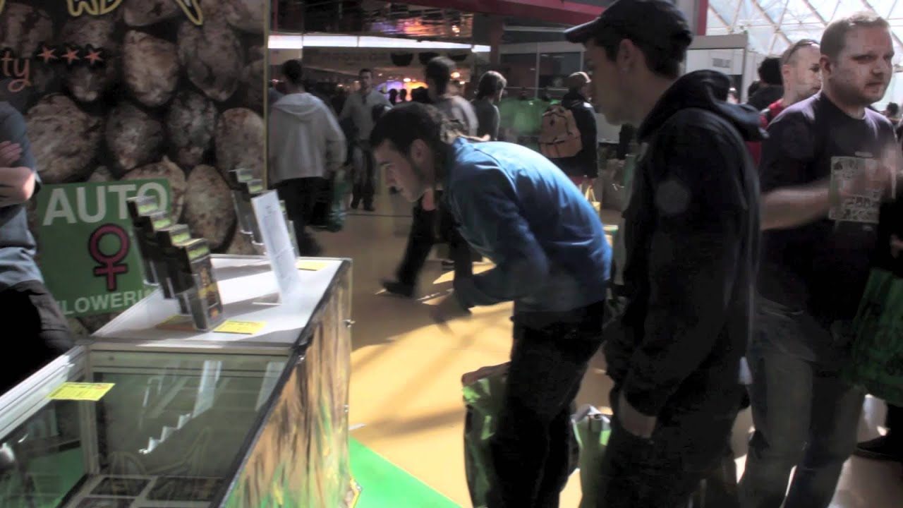 Nirvana SeedBank @ 10th Spannabis 2012