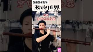 Sáo -《Thế Giới Động Vật(动物世界)》Từ Douyin(拙人堂馨雅漆艺笛箫) anh Tq#bambooflutemusic#douyin #youtubeshorts