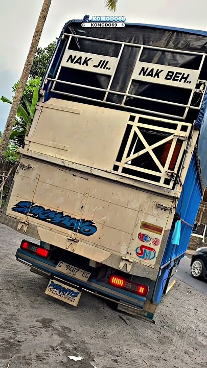 Meong #cctvtruckindonesia #masukberanda #rendiandika #storywa #truck #beranda #fypシ゚viral #driver