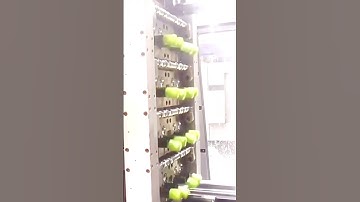 chieam.com | How to closing in mold of flip top cap closure