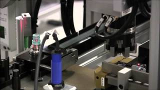 Celebrity O Ring Installation 2 Profile