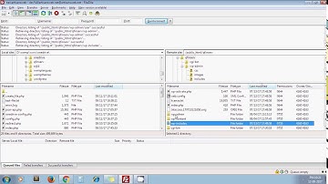 How To Change Permissions Of Files And Folders In WordPress Using FileZilla
