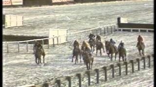 1987 Tote Cheltenham Gold Cup Chase